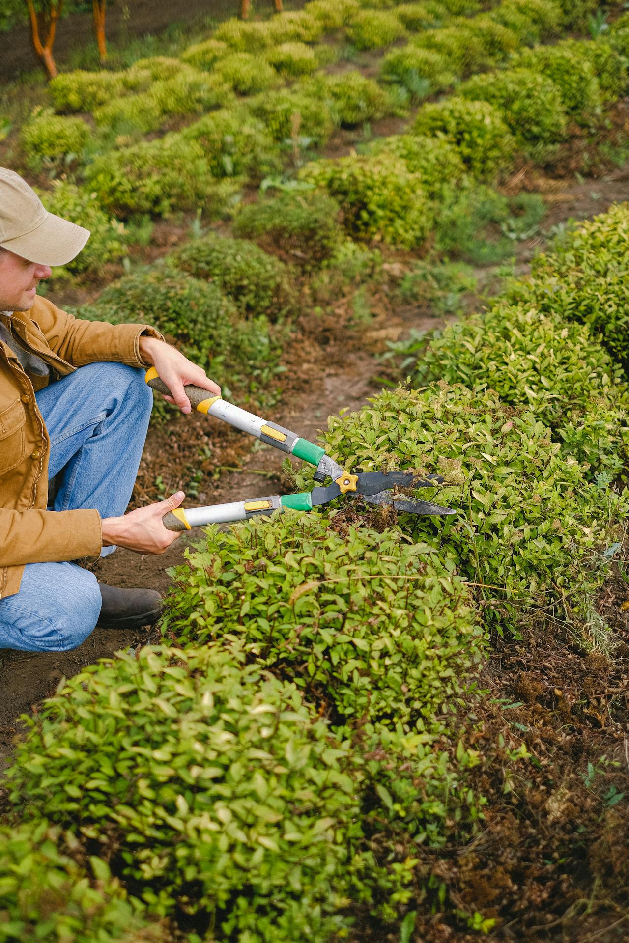 Garden Care